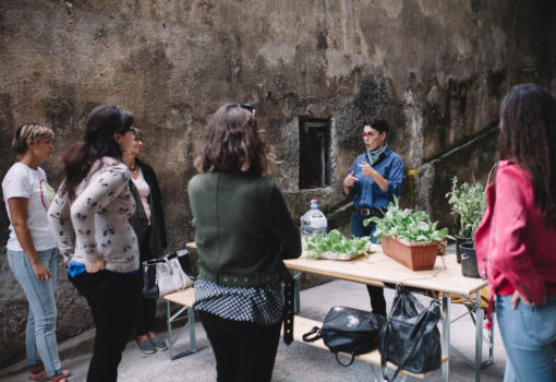 Zelena subota u RiHubu – seed bombs radionica i razmjena sjemena