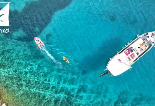 Plastični ocean kao tema novih Retox razgovora u RiHubu