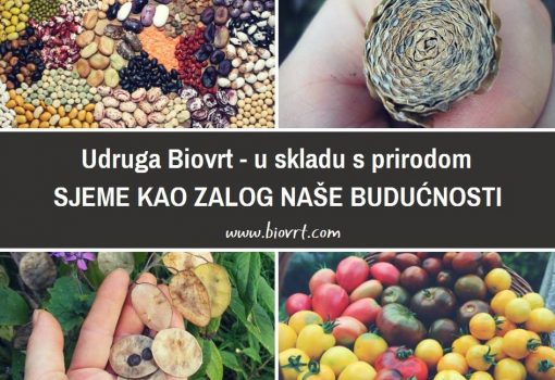 [Razgovori u RiHubu] Retox: Sjeme kao zalog budućnosti