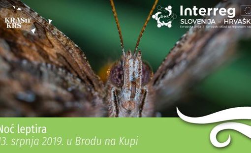 Noć leptira – edukativni program u Brodu na Kupi