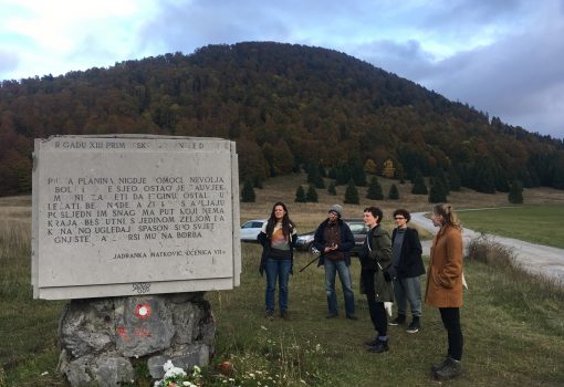 Međunarodni i domaći umjetnici u susjedstvima Delnice i Mrkopalj pronalaze inspiraciju za svoja djela