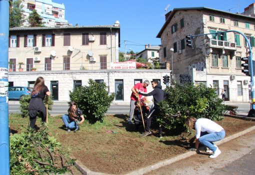 Ispred Waldorfske škole niknuo specifičan vrtni otok