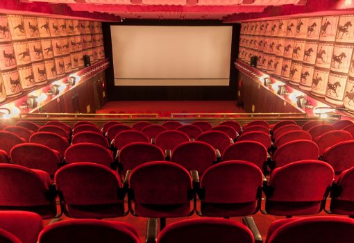 Postani volonter/ka na Riječkom filmskom festivalu