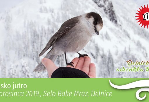 Zimsko jutro u susjedstvu Delnice