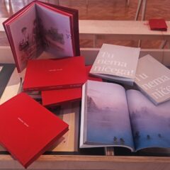 Na izložbi “Crvena škola” Dubravke Ugrešić u prodaji katalog izložbe i esej “Tu nema ničega!”
